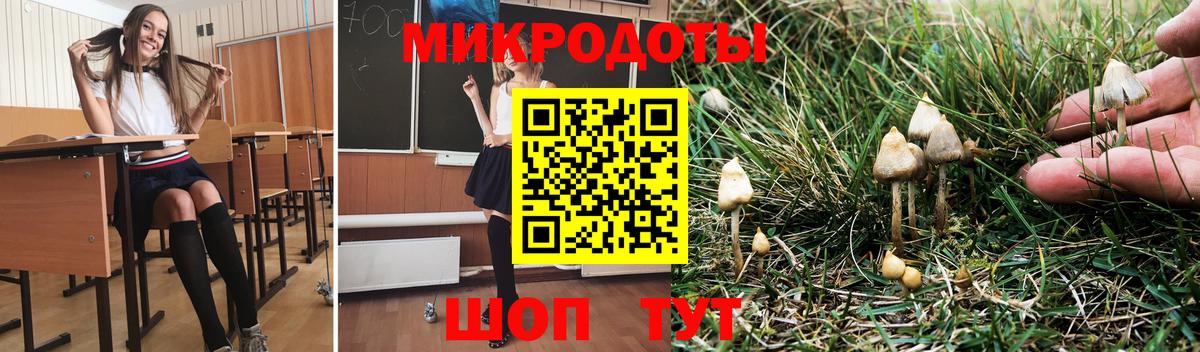 Псилоцибиновые грибы Psilocybine cubensis  Вход с VPN  Галлюциногенные грибы мухоморы  Карталы 